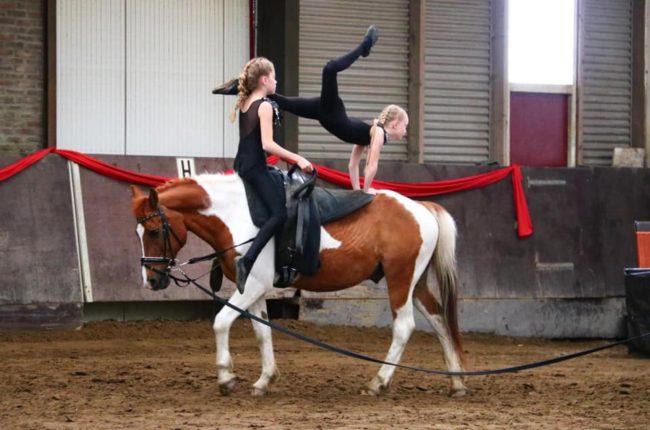 Voltige Meers Paarden Centrum