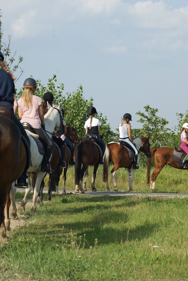 Buitenrit Meers Paarden Centrum