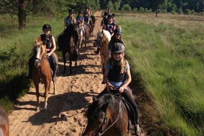 ruiterkamp-meers-paarden-centrum