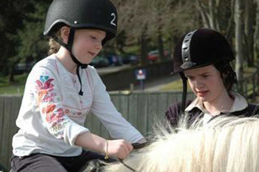 valtraining-meers-paarden-centrum